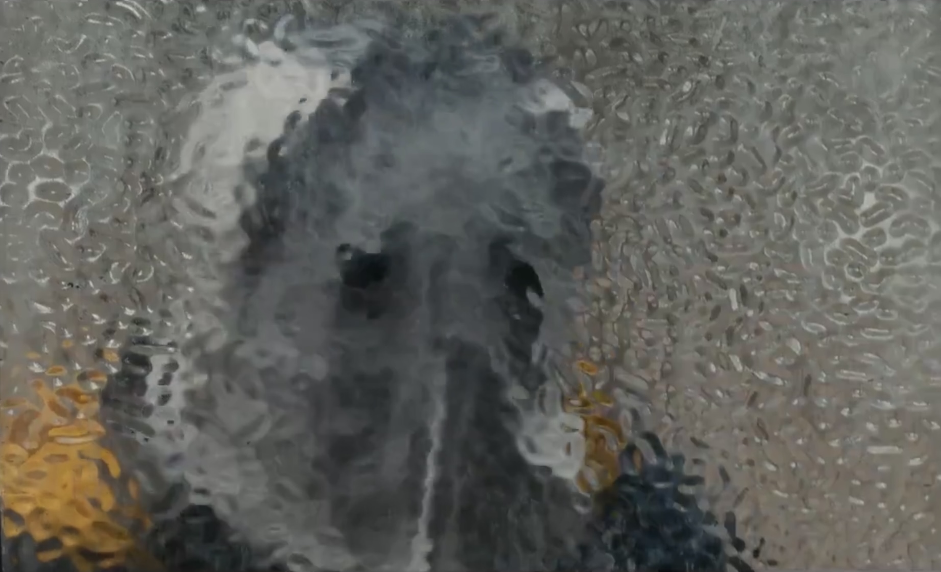 cloud kurosawa.jpeg